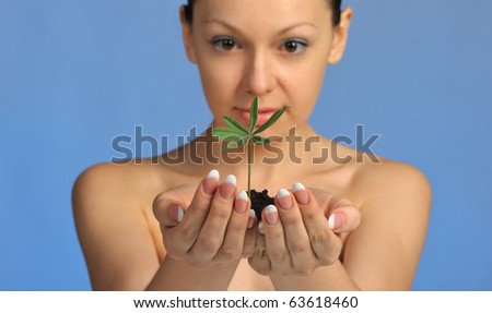 The woman holds in hands soil with a plant. Selective focus. A blue background