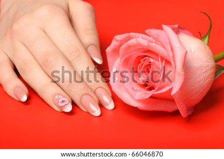Manicure. Female hands on red background. Well-groomed female hands with a decorative element - a flower