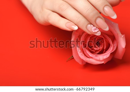 Manicure. Female hands on red background. Well-groomed female hands with a decorative element - a flower