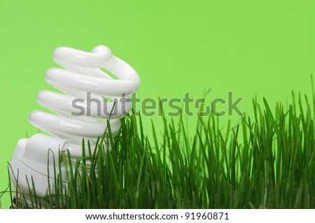 Energy saving compact fluorescent lightbulb in a green grass