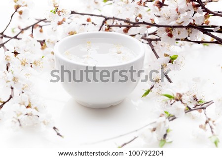 blossom flowers in bowl