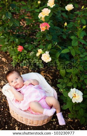 Lovely baby in basket at roses garden