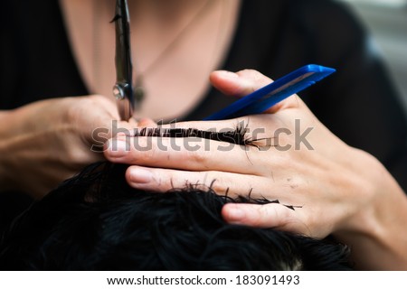 Hands of a hair stylist trimming hair with a comb and scissors