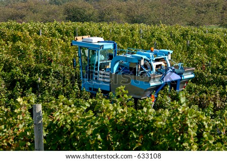 A mechanical grape harvesting machine in a vineyard. Focus = machine. 12MP camera.