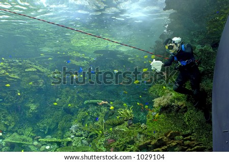 A scuba diver cleans a marine aquarium. 12MP camera.
