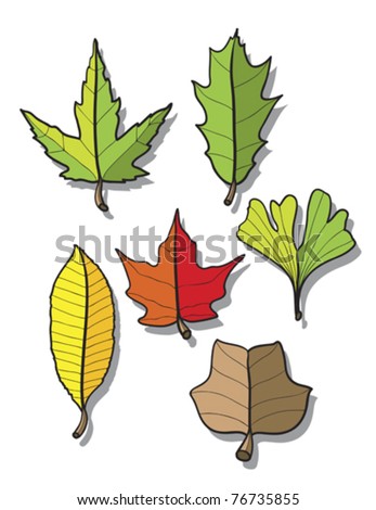 Leaves Cartoon Over White Background, Abstract Vector Art Illustration