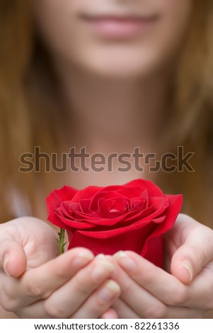 blurred portrait of woman is holding or giving red flower rose in her hands