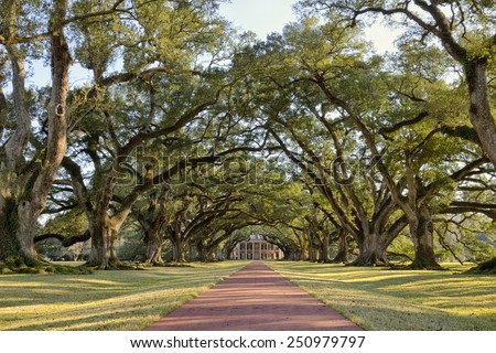 Oak Alley Plantation, Louisiana