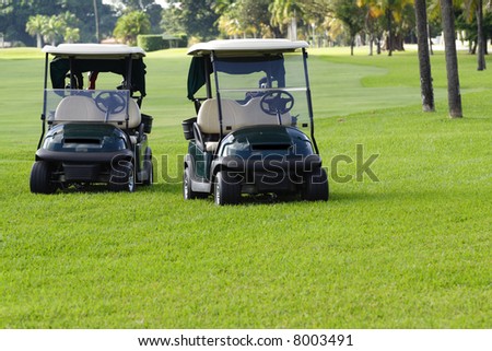 Golf Carts at your Service