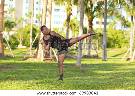 Martial arts master practicing in the park