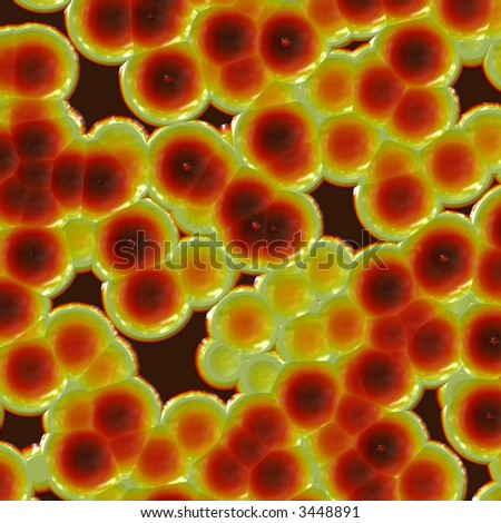 Microscopic Plant Cells