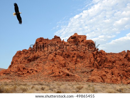 Bald Eagle flying over a red rock in Nevada, USA