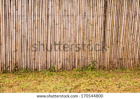 Bamboo fence in the garden, Asian style