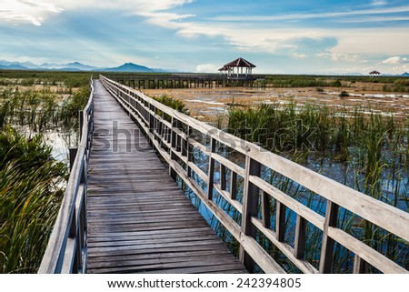 walkway in to the lake, Pranburi, Thailand national park