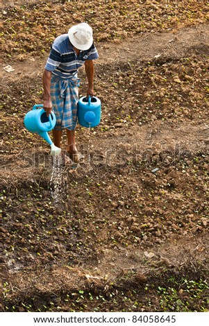 Farmer watered his little plant, thailand