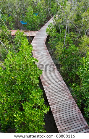 Wood path way amoung the Mangrove forest, Thailand