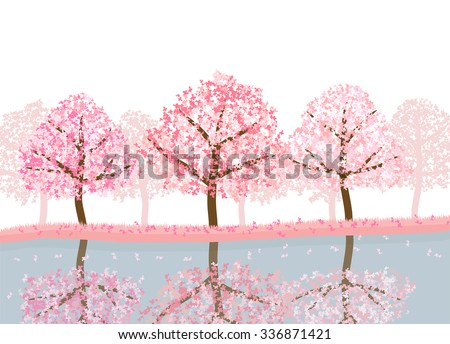 spring season of sakura cherry blossom trees with lake. landscape isolated on white background vector
