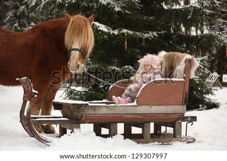 Cute little girl sitting in the sledges with dog and big palomino draught horse standing near