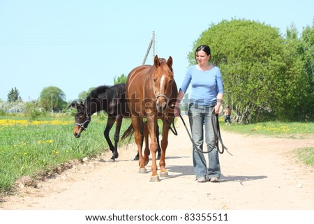 Young woman walking with chestnut horse on the countryside road
