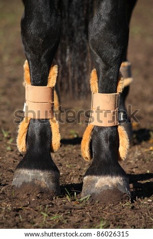 Legs With Boots