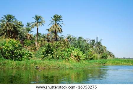 stock-photo-tropical-paradise-nile-river-in-egypt-16958275.jpg