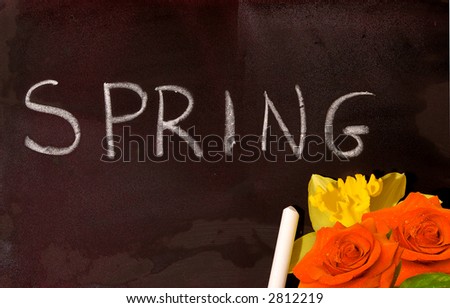 real black board very used from school write the word spring