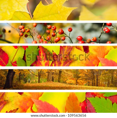 Set of 5 Different Autumn\'s Banners / Nature