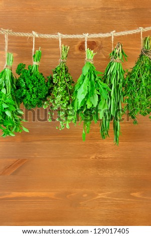 Fresh Herbs Collection is Hanging and Wooden texture / Vintage Style / Vertical composition