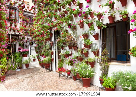 Spring Flowers Decoration of Old House Patio, Cordoba, Spain, Europe