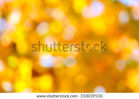 Autumn abstract, fall season colors  background with a magic lights, out of focus