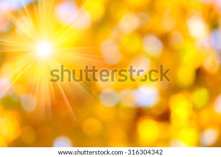 Autumn abstract, fall season colors background with a magic sun lights, out of focus