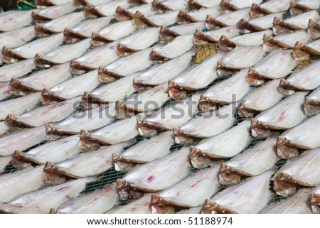 fish market in Asia / drying / South Korea /