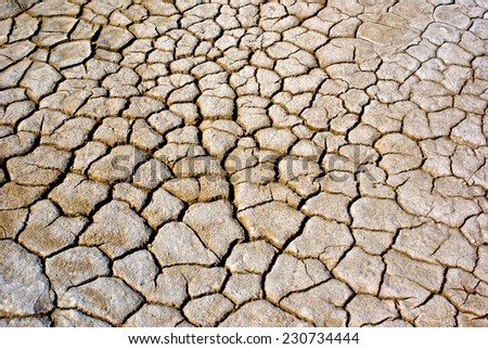 Cracked ground in the Mojave desert of California during a record-breaking drought.