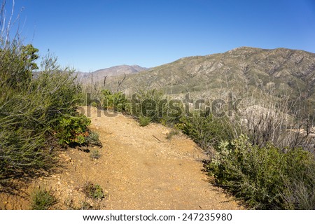 Hiking trail leads through the San Gabriel Mountains in Angeles National Forest.