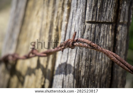 Rusted curl of sharp barbed wire against an aging fence post.gf