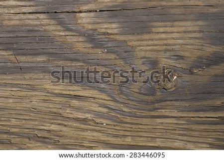 Cracks and grit in the grains of a wooden floor board.