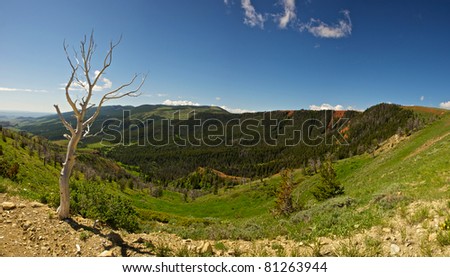 A single dead tree sits atop a ridge line in the Wyoming mountains.