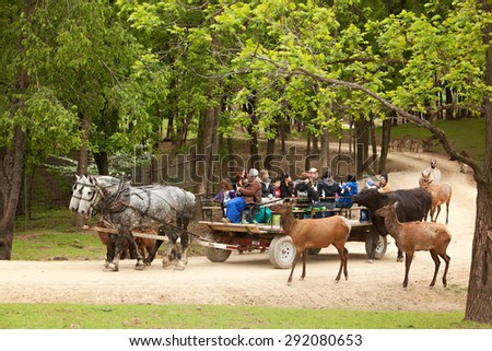 SUGARCREEK, OH - MAY 19, 2015:  A group of tourists, including school children on a field trip, riding a wagon driven by a young Amish woman through an exotic animal farm.