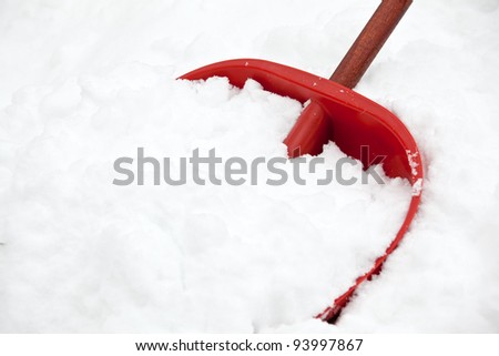 Shovel for snow removal full of fresh snow