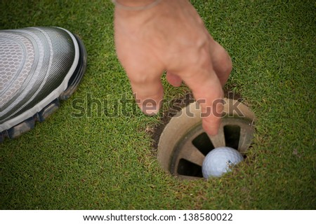 Golf course ball in the hole