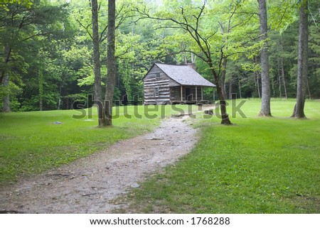 Rustic Cabin in the Woods