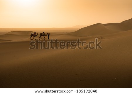 Silhouette of a man and two camels at sunset, Dunhuang, China