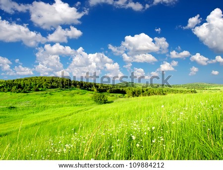 Rural scene with grass and clouds. Natural composition