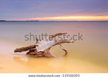 Bright seaside and log during sundown. Natural composition