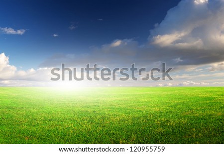 Green field and sun glow. Agricultural composition