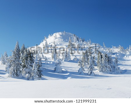 Snow hill and tree under snow. Natural winter landscape