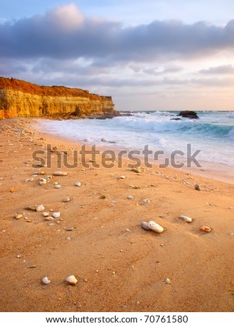 Seashore with clean sand and greater sea waves