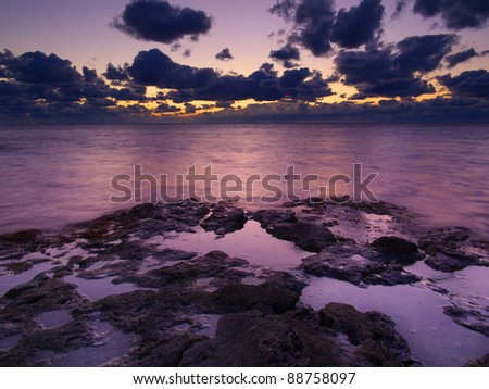 Bright seascape. Natural composition