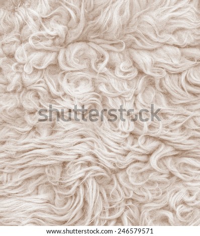 Fur texture. Abstract backgrounds. Beige color carpet