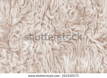 Fur texture. Abstract backgrounds. Boho, bohemian, retro, vintage style. Beige color carpet. Soft pastel color